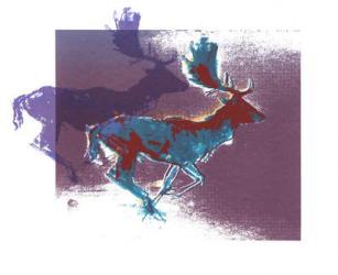 Fallow Bucks (blue/red, purple), 2015, (screen print) | Obraz na stenu