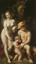 Venus with Mercury and Cupid ('The School of Love'), c.1525 (oil on canvas) | Obraz na stenu
