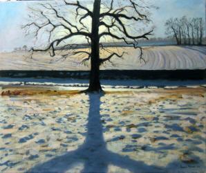 Tree and Shadow, Calke Abbey, Derbyshire (oil on canvas) | Obraz na stenu