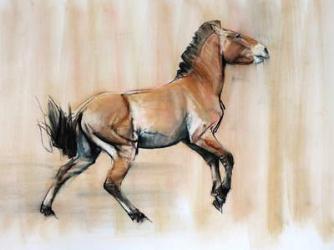 Young Stallion (Przewalski), 2014, (pastel and charcoal on paper) | Obraz na stenu