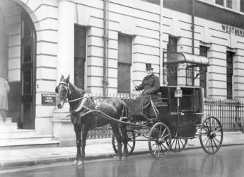 Single-Horsed Carriage (b/w photo) | Obraz na stenu