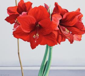 Red Amaryllis (watercolour on paper) | Obraz na stenu