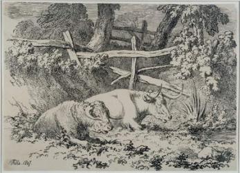 Cattle Resting, 1807 (pen & ink on paper) | Obraz na stenu