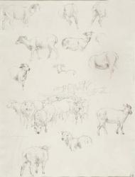 Flock of Sheep, after 1794 (graphite) | Obraz na stenu