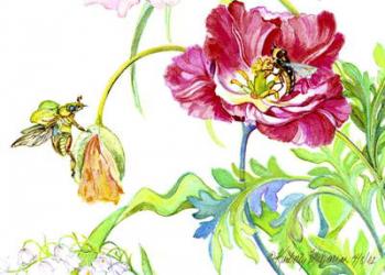 Beetle, Poppy, and Tulip, (watercolor on paper) | Obraz na stenu