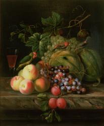 Still life of fruit on a ledge with Parakeets | Obraz na stenu