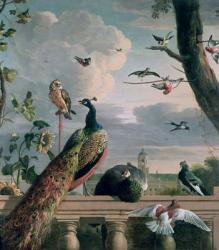 Palace of Amsterdam with Exotic Birds | Obraz na stenu