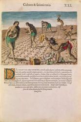 Florida Indians planting maize, from 'Brevis Narratio...', published by Theodore de Bry, 1591 (coloured engraving) (see also 111671) | Obraz na stenu