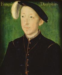 Portrait of Charles de France (1522-45) Duke of Orleans (oil on panel) | Obraz na stenu