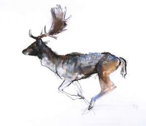 Evening Buck (Fallow deer), 2007, (pastel and conté on paper) | Obraz na stenu
