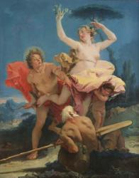 Apollo and Daphne, c.1743-44 (oil on canvas) | Obraz na stenu