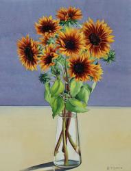 Sunflowers (watercolour on paper) | Obraz na stenu