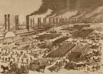 Commercial Activity and a View of the Quay at New Orleans in 1880 (engraving) | Obraz na stenu