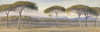 A View of the Pine Woods Above Cannes, 1869 (w/c over graphite on paper) | Obraz na stenu