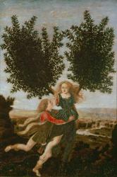 Daphne and Apollo, c.1470-80 (oil on panel) | Obraz na stenu
