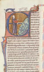 Ms 426 fol.213 A doctor by a fishpond, from 'Le Miroir de la Nature' by Vincent de Beauvais (vellum) | Obraz na stenu