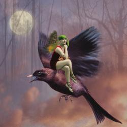 Flight, 2014, (digital collage) | Obraz na stenu