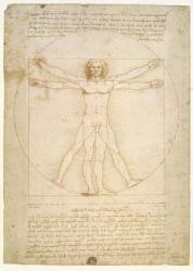 The Proportions of the human figure (after Vitruvius), c.1492 (pen & ink on paper) | Obraz na stenu