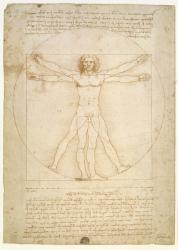 The Proportions of the human figure (after Vitruvius), c.1492 (pen & ink on paper) | Obraz na stenu