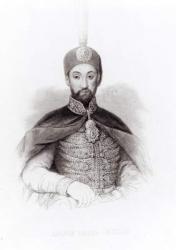 Portrait of Abdulmecit (engraving) | Obraz na stenu