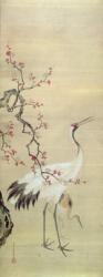 Crane and Blossom, c.1850-80 (ink and colour on silk) | Obraz na stenu