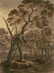 Forest Scene, A Giant Scots Fir and Forest Glade, 1771 (pen & ink and wash on paper) | Obraz na stenu
