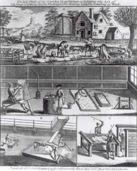The First Plate of the Woollen Manufacture Exhibiting the Art of (A) Sheep Shearing (B) The Washing (C) The Beating and (D) The Combing of Wool, engraved for the Universal Magazine, 1749 (engraving) (b&w photo) | Obraz na stenu
