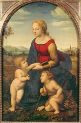 La Belle Jardiniere, 1507 (oil on panel) | Obraz na stenu