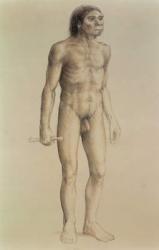 Homo erectus (pencil on paper) | Obraz na stenu