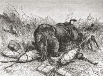 A rhinoceros attacks an expedition, from 'Africa Pintoresca', published 1888 (engraving) | Obraz na stenu