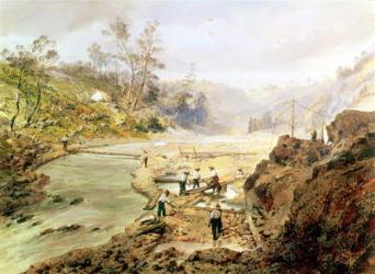 'Fortyniners' washing gold from the Calaveres River, California, 1858 (oil on canvas) | Obraz na stenu