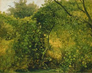 Bushes at Pillnitz, c.1818-28 (oil on paper) | Obraz na stenu