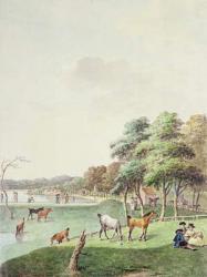 The East End of the Serpentine, and a Distant view of the Bathing House, 1794 (w/c on paper) | Obraz na stenu