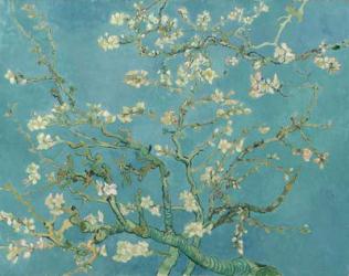Almond Blossom, 1890 (oil on canvas) | Obraz na stenu