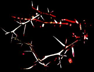 Crown of Thorns, 2015 (repainted photograph) | Obraz na stenu