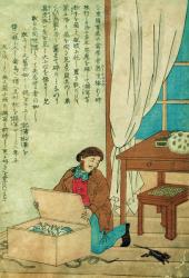 JJ Audubon (1785-1851) on a trip to Japan disovers a rat, c.1840 (w/c on paper) | Obraz na stenu