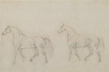 Two horses walking left (graphite on paper) | Obraz na stenu