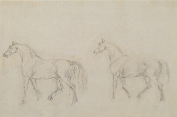 Two horses walking left (graphite on paper) | Obraz na stenu