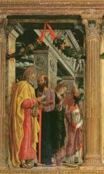 Detail of San Zeno Altarpiece, 1456-60 (oil on panel) | Obraz na stenu