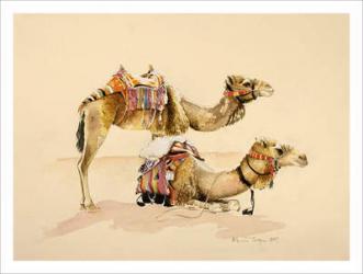 Camels from Petra, 2007 (w/c on paper) | Obraz na stenu