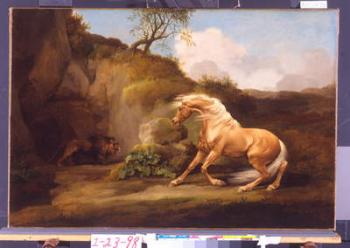 A Horse Frightened by a Lion, c.1790-5 (oil on canvas) | Obraz na stenu