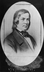 Robert Schumann (1810-56) engraved from a photograph (engraving) (b/w photo) | Obraz na stenu