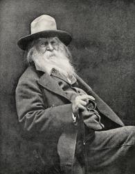 Walt Whitman (1819-91) (b/w photo) | Obraz na stenu
