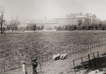 Kensington Palace, Kensington Gardens, London, England in the late 19th century. From London, Historic and Social, published 1902. | Obraz na stenu