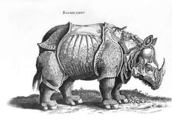 Rhinoceros, no.76 from 'Historia Animalium' by Conrad Gesner (1516-65) published in July 1815 (engraving) (b/w photo) | Obraz na stenu