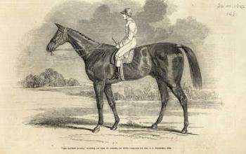 'Sir Tatton Sykes', Winner of the St. Leger, from 'The Illustrated London News', 26th September 1846 (engraving) | Obraz na stenu