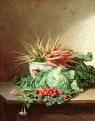 Still Life of Strawberries, Carrots and Cabbage | Obraz na stenu