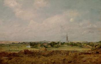 View of Salisbury (oil on canvas) | Obraz na stenu