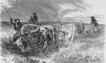 The Prairie Sod Plow, illustration from 'Harper's Weekly', 1868, from 'The Pageant of America, Vol.3', by Ralph Henry Gabriel, 1926 (engraving) | Obraz na stenu