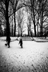 Central Park Steps | Obraz na stenu